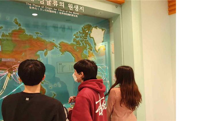 [혁신선도사업] 국내 현장실습 in 제주